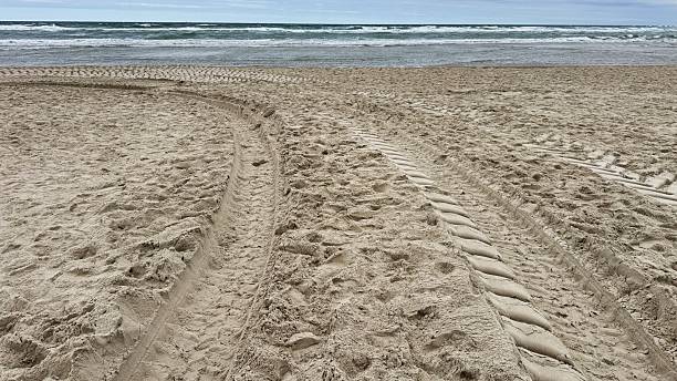 istock Tire Tracks on Sandy Beach Leading to the Ocean 2248486766