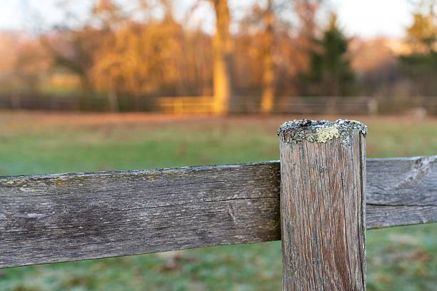 Snow Fence and Field