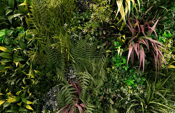 Lush artificial botanical carpet with diverse leaves and grass textures. Seamless green background with copy space for eco-friendly branding, website headers, and nature-themed design projects.