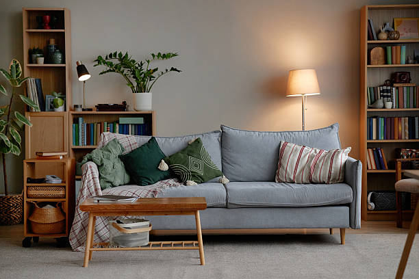 istock Empty Living Room Interior Featuring Couch and Bookshelves in Cozy Setting 2248495963