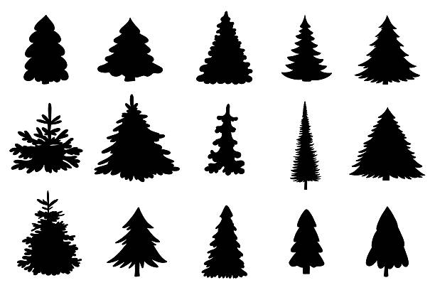 cây thông noel màu đen hình bóng vẽ phác thảo bộ minh họa vector - chi thông hình minh họa sẵn có