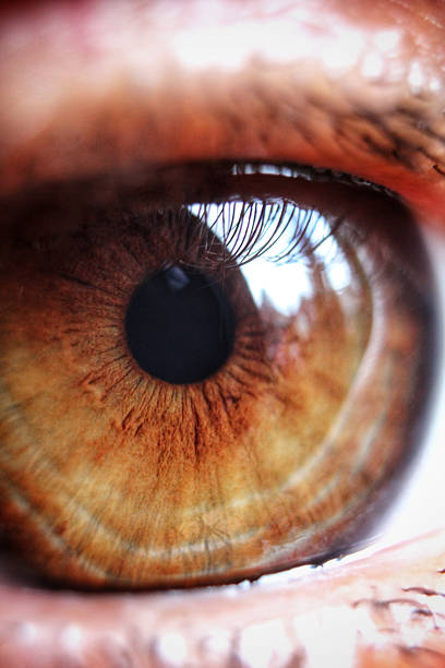 istock Iris and pupil texture of eye 2248497155