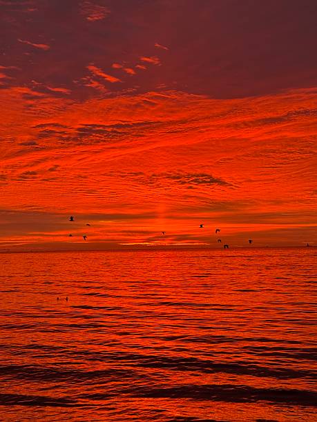 istock Early Morning Red Sky Over New York Arbor 2248497603