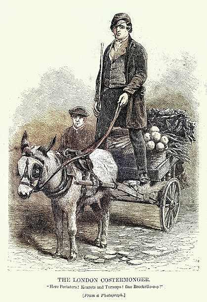History, The London Costermonger, selling potato's, carrots and turnips from a donkey cart, Henry Mayhew's London Labour and the London Poor, Vintage illustration 19th Century