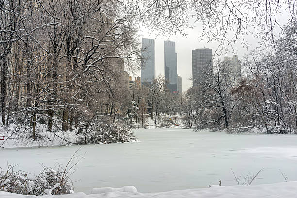 istock Central Park in winter , snow storm 2248506619