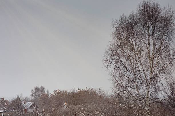 A small church through the trees.