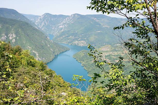 Drina river winding through a deep green valley in Tara national park, offering a scenic nature landscape view
