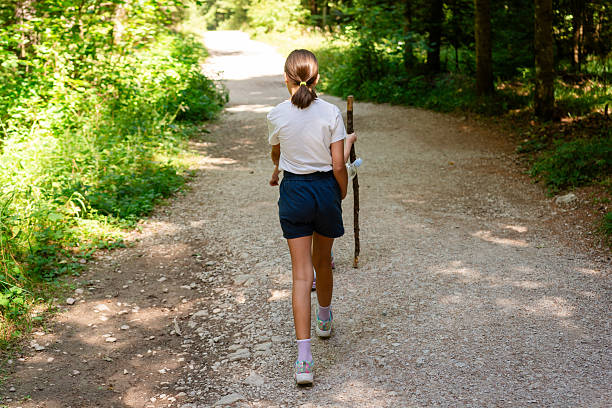Young girl hiking along a sunlit forest trail, ponytail and walking stick in hand, exploring nature and enjoying outdoor freedom