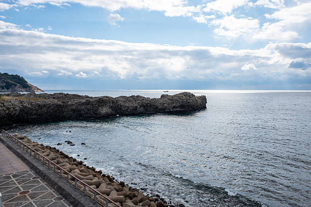 Vast ocean vista with dramatic rocky cliffs, a row of modern concrete barriers shielding against the waves, and an overcast sky