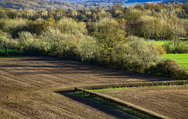 Hanbury Worcestershire Landscape summer farmland agriculture fields view looking down