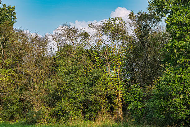 istock Hiking in Rheinhessen 2248522729