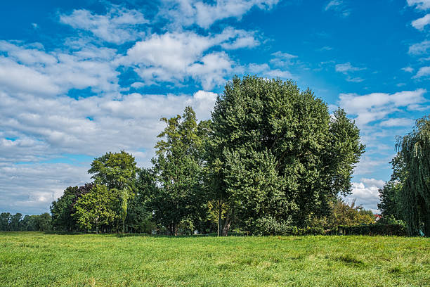 istock Hiking in Rheinhessen 2248522858