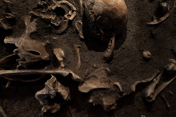istock Ancient human fossil archaeological site 2248524379