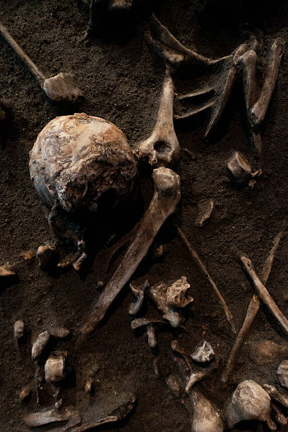 istock Ancient human fossil archaeological site 2248524380