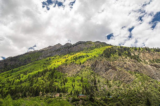 The scenery offered by the journey on National Highway 318 to Tibet