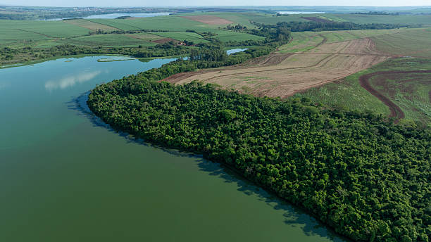 riparian forest and dammed area of the Tiete River - drone view