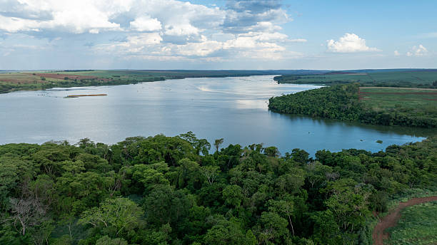 riparian forest and dammed area of the Tiete River - drone view