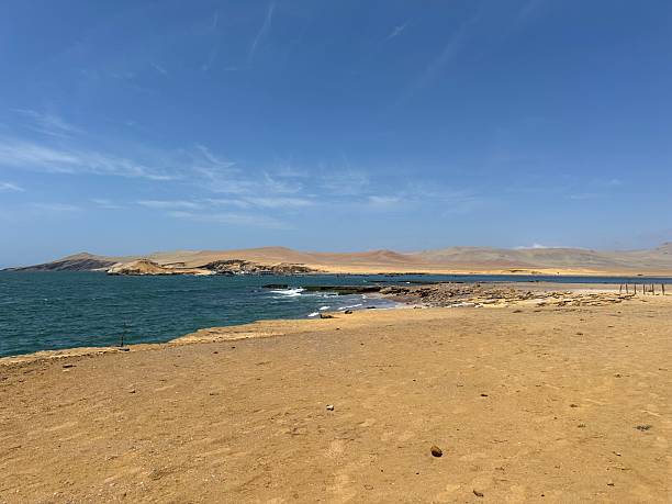 istock Paracas National Park Peru 2248534050