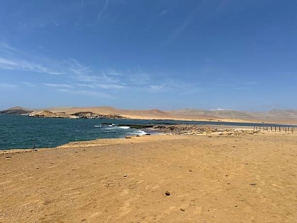 istock Paracas National Park Peru 2248534051