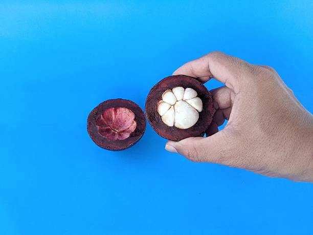 A hand holding a ripe mango fruit