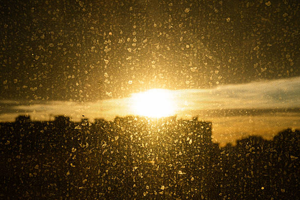 Warm golden sunlight shines through a dusty window creating a glowing textured pattern with silhouetted buildings on the horizon.