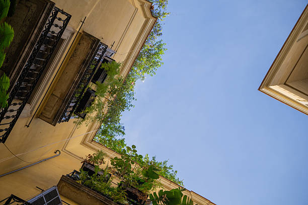 A wide view of a courtyard with tall yellow buildings decorated with plants beneath a bright blue sky.
