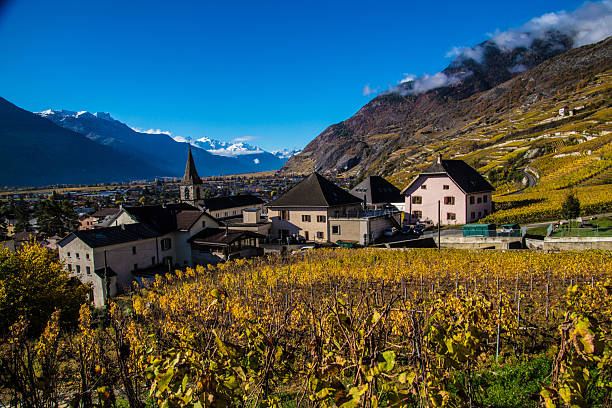 vetroz in valais in swilzerland