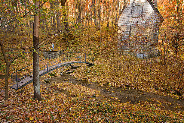 an autumn forest, a house and a river with a small bridge