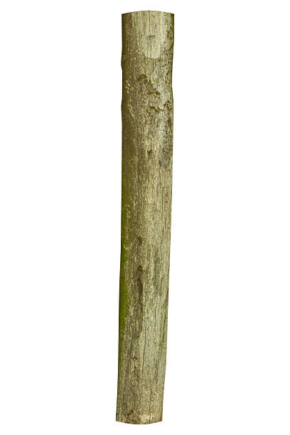 istock Old rough wooden post with natural bark texture is isolated. 2248539066