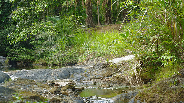 istock Calm River Water and Wet Dark Stones in Nature 2248540442