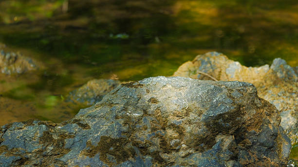 istock Calm River Water and Wet Dark Stones in Nature 2248540547