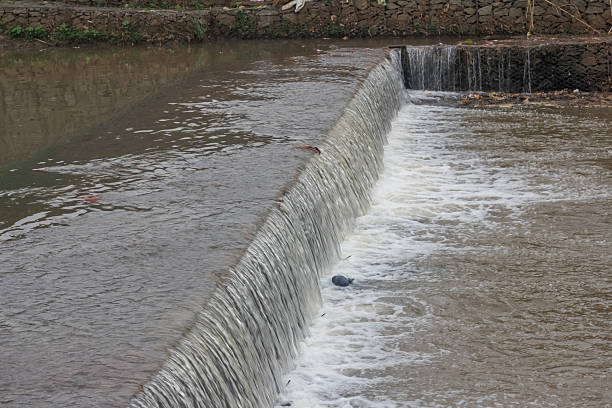 In a serene tableau, a solitary heron stands sentinel in the center of a tranquil canal, its sleek form perfectly still as it awaits its next meal. The gentle flow of water beside it adds to the sense of peaceful anticipation, capturing a moment of natural harmony and quiet determination.