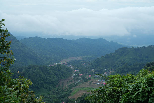 istock Tea gardens, Landscape and geo-natural diversity around Darjeeling 2248544846