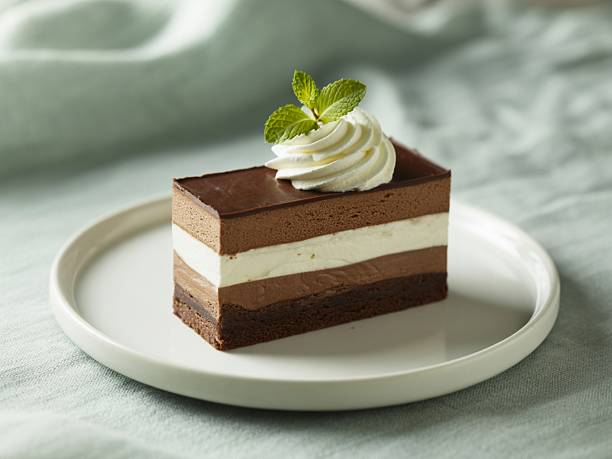 istock Layered Chocolate Mousse Cake with Mint Garnish 2248545608