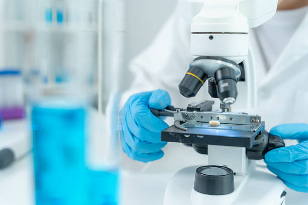 istock Scientist check chemical whole grains residues in laboratory. Control experts inspect the concentration of chemical residues. hazards, standard, prohibited substances, contaminate, Microbiologist 2248546084