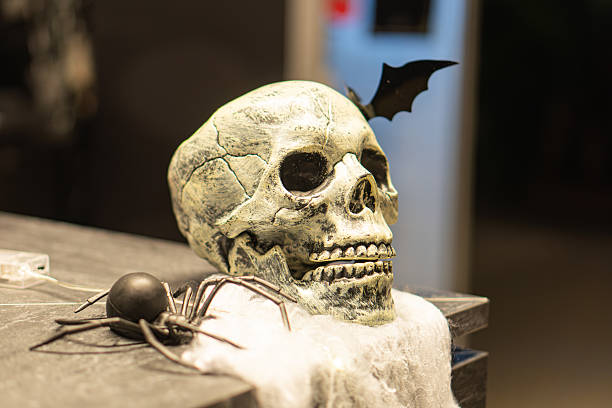istock Centered, Halloween decor, skull with bat, aged appearance, cracks, crevices, spider, subdued lighting, shadows, earth tones, blue contrast, realistic style, textures, light-shadow interplay, central. m 2248546921