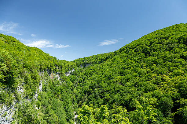 Wide landscape of densely forested mountains with rocky cliffs and vibrant green foliage under a bright blue sky