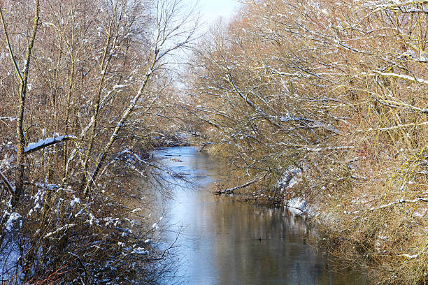 A wonderful winter landscape: a quiet river flows among snow-covered trees and shrubs, creating an atmosphere of tranquility and winter idyll