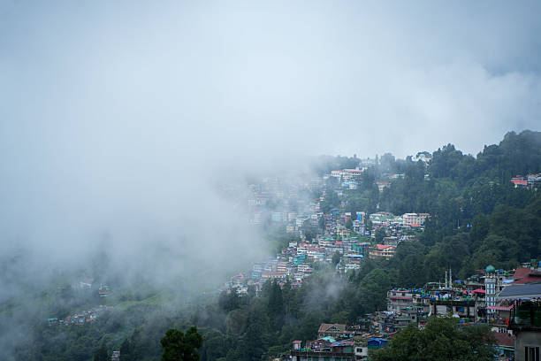 istock Tea gardens, Landscape and geo-natural diversity around Darjeeling 2248548511