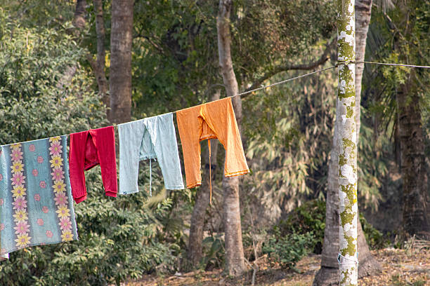 istock multicoloured washing hanging on a clothes line with jungle trees in the background 2248551783