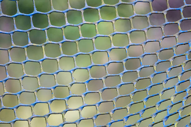 istock Abstract close-up texture background of worn, old garden netting mesh, showing weathered plastic and tight grid patterns. A protective barrier used to guard plants from pests and birds. 2248551807