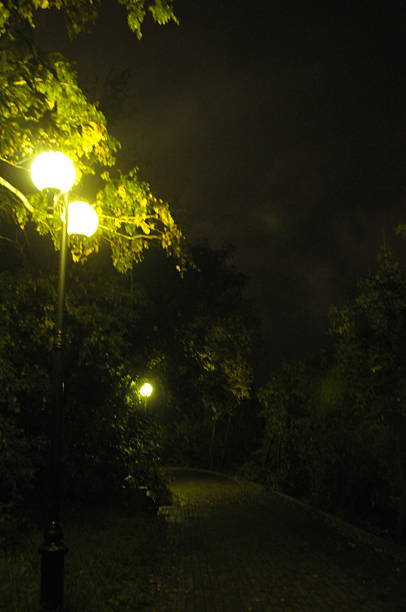 istock lanterns and paths in the park at night 2248561104