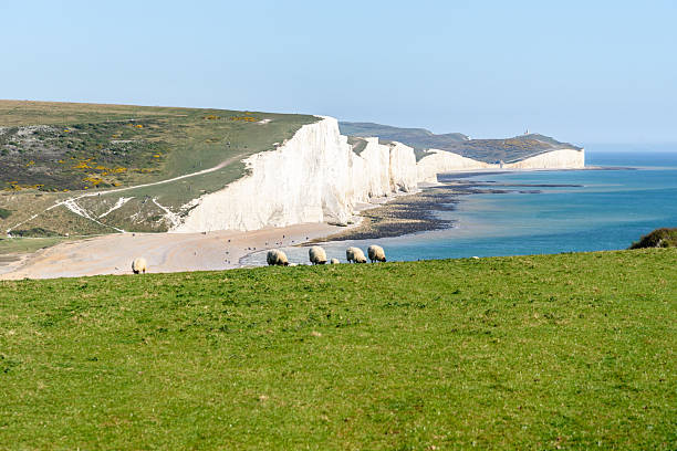 istock View of Seven Sisters cliffs under clear blue sky in spring 2248562616
