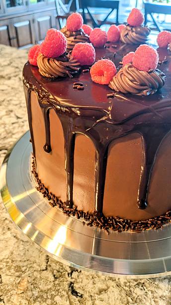 Gourmet Chocolate Cake with Raspberries on Metallic Stand