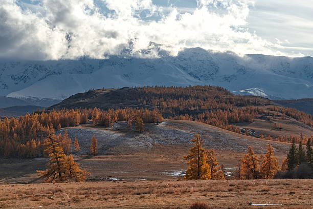 istock Sunny autumn day in the Altai mountains 2248572744