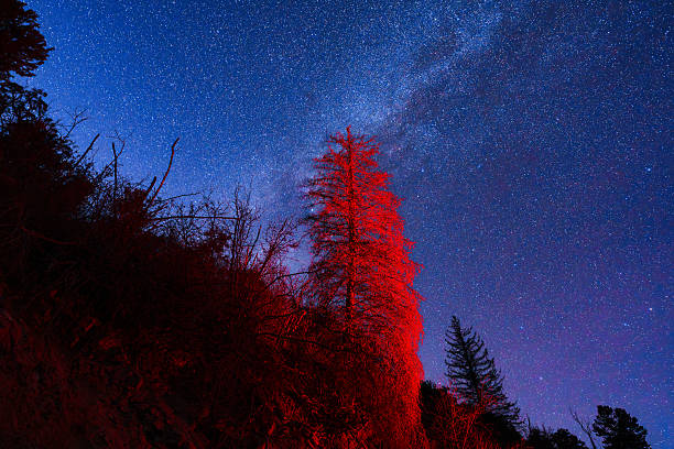 Stunning Mountain View With Starry Night Sky and Illuminated Valleys