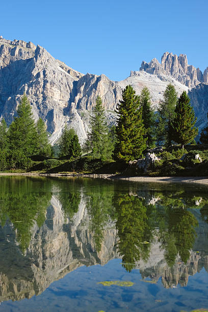 Alpine lake, forest and Dolomite mountains