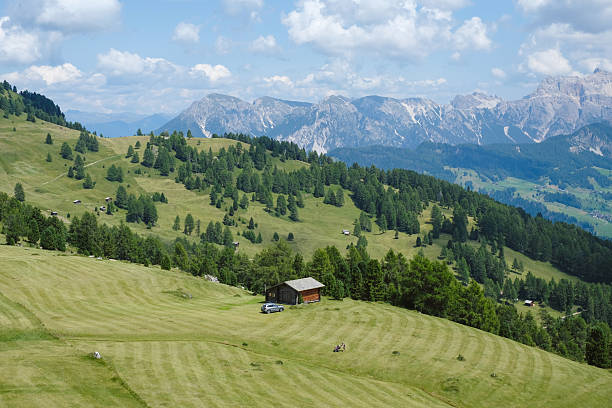 Alpine meadow and mountain hut in summer, Dolomites