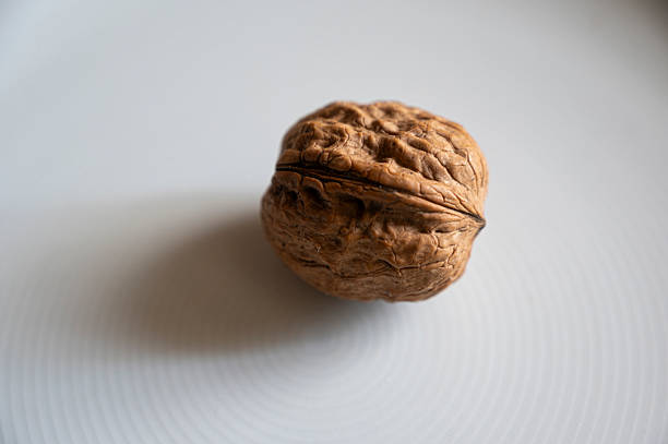 Close-up view of whole walnuts and walnut kernels arranged on a white textured plate, highlighting natural texture, healthy food concept and minimalist still life composition.
