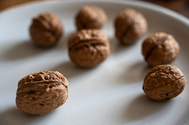 Close-up view of whole walnuts and walnut kernels arranged on a white textured plate, highlighting natural texture, healthy food concept and minimalist still life composition.